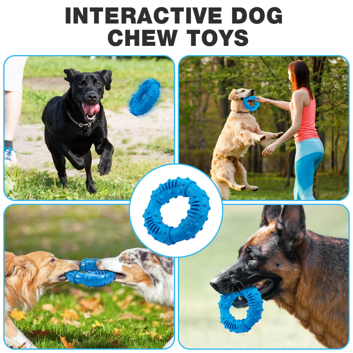 indestructible molar cleaning high interactive chew toys for dogs
