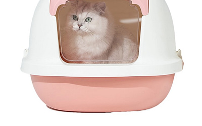 Best Pet Litter Boxes: Catering to Feline Friends in Pet Clinics