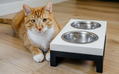 The Latest Trends in Pet Feeding Technology