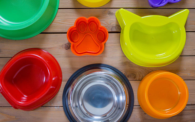 Choosing Pet Feeders: A Comprehensive Guide for Pet Supply Businesses
