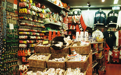 No Middleman: Ordering Wholesale Pet Supplies Straight from Manufacturers