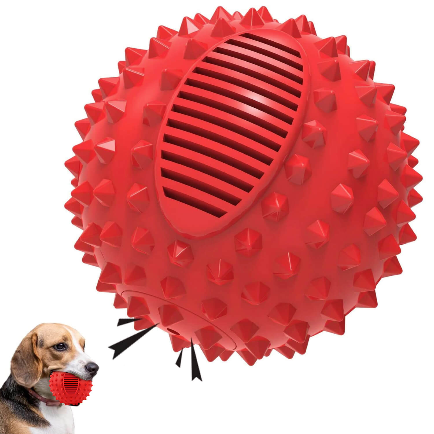 Sounding dog chew toys