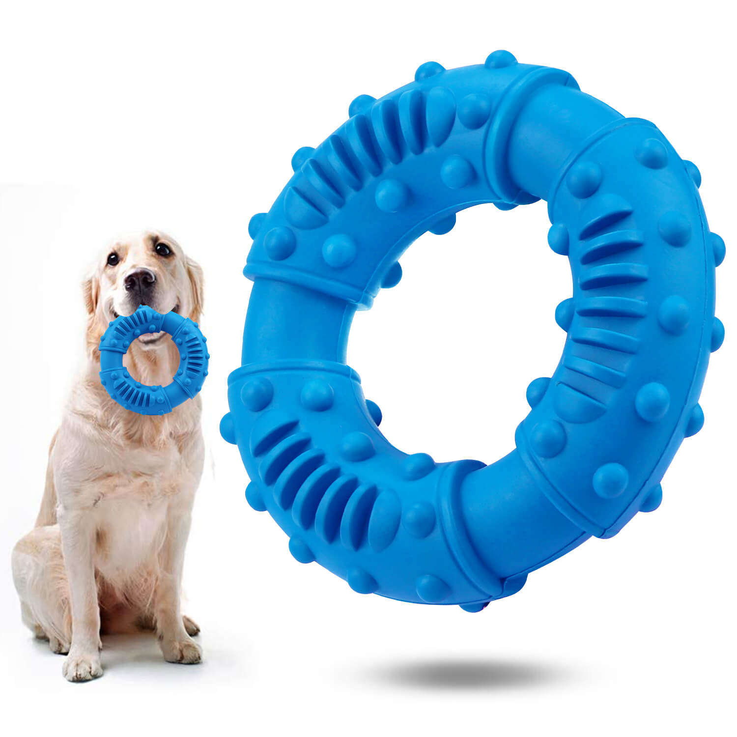 Circle dog chew toys
