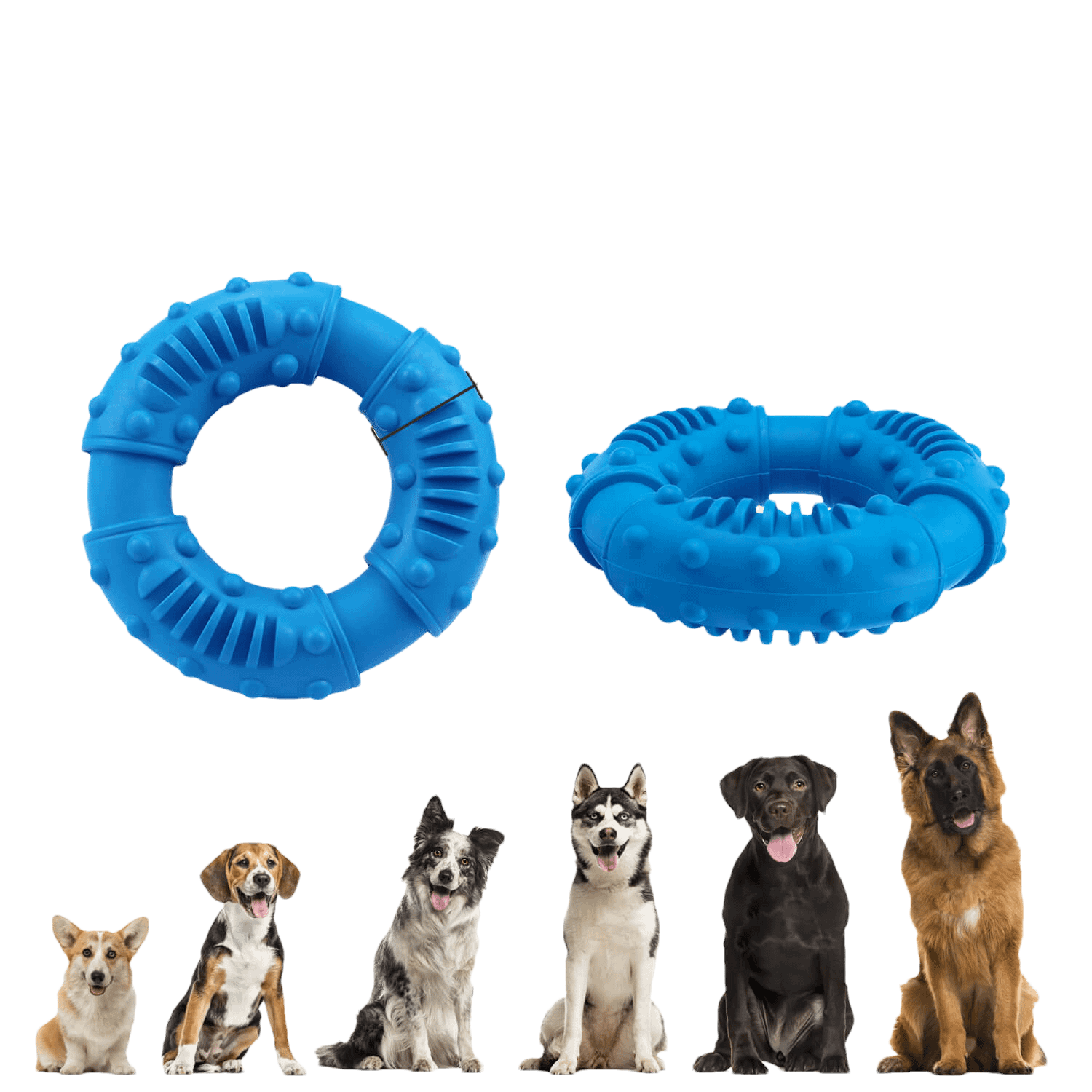 Dogs Chew Toys